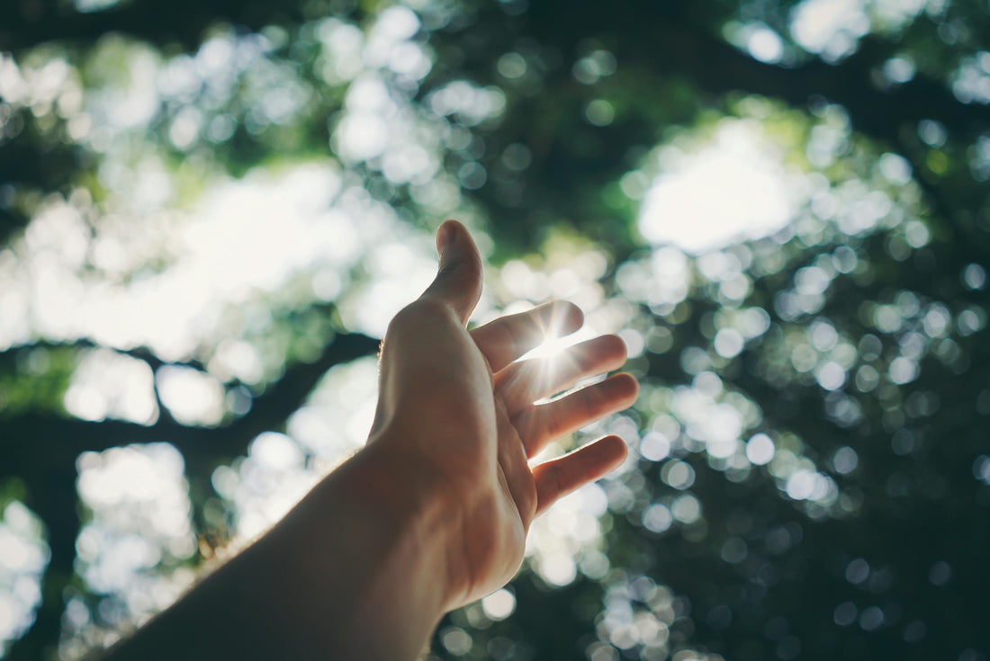 The Healing Light: A Deeper Look at Sunlight, Cellular Health, and Intuitive Sun Safety