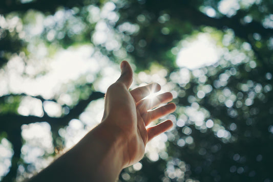 The Healing Light: A Deeper Look at Sunlight, Cellular Health, and Intuitive Sun Safety