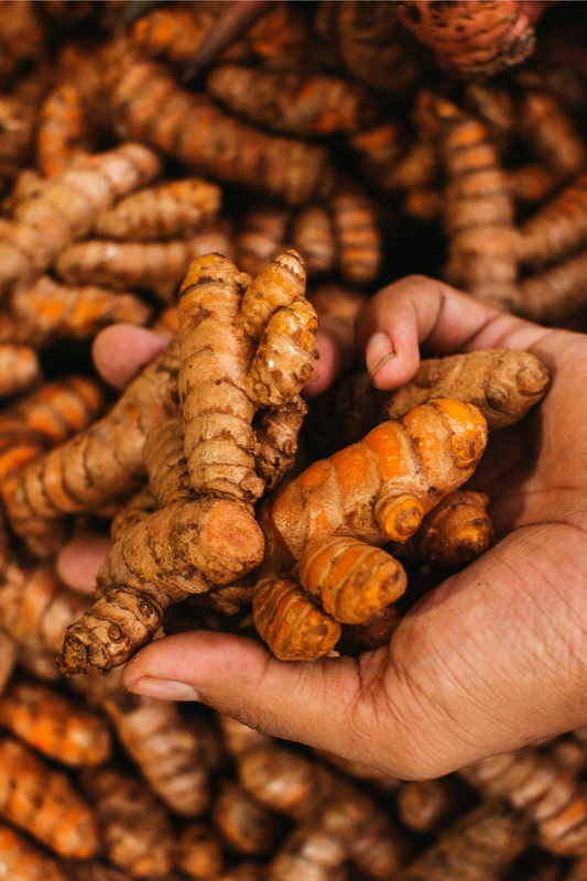 Fawn Lily Botanica – Organic Turmeric Root Hydrosol